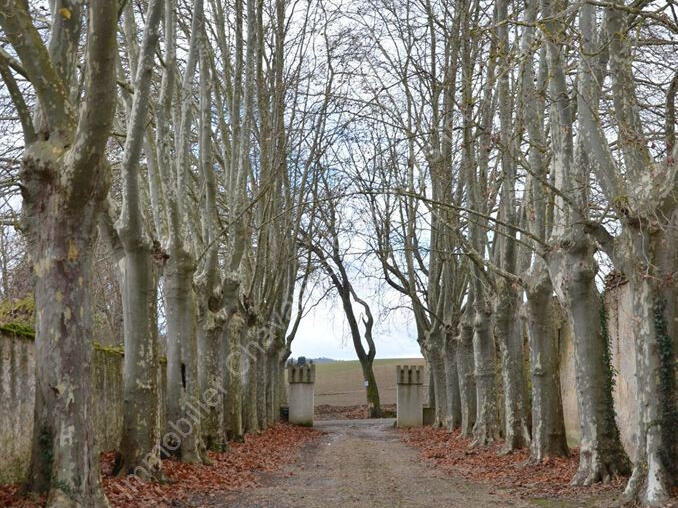 Castle Castelnaudary