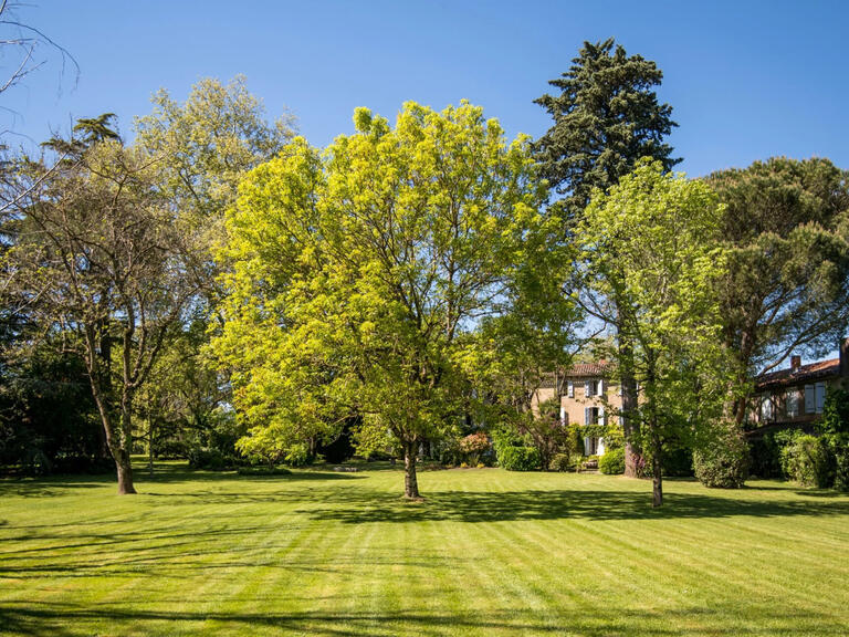 Propriété Castres - 7 chambres - 530m²