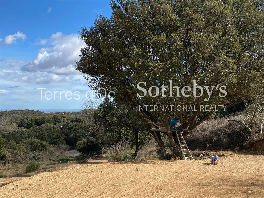 House Céret