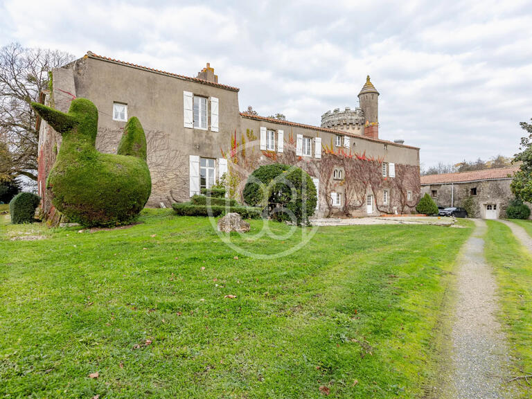 Vente Château Challans - 9 chambres