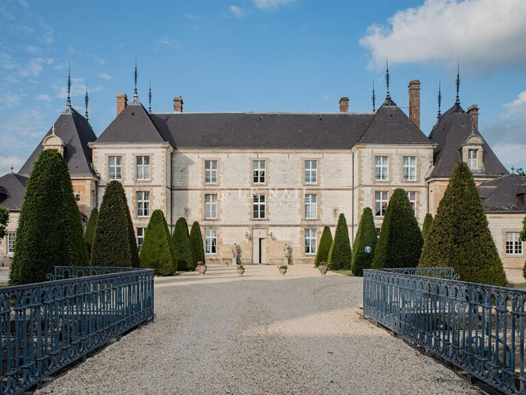 Vente Château Châlons-en-Champagne - 23 chambres