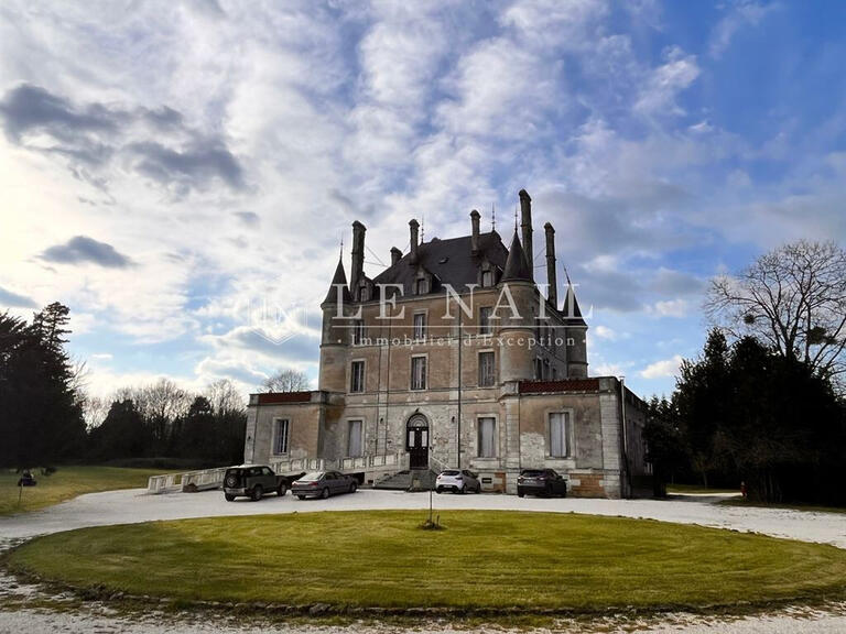 Sale Castle Chantonnay - 10 bedrooms