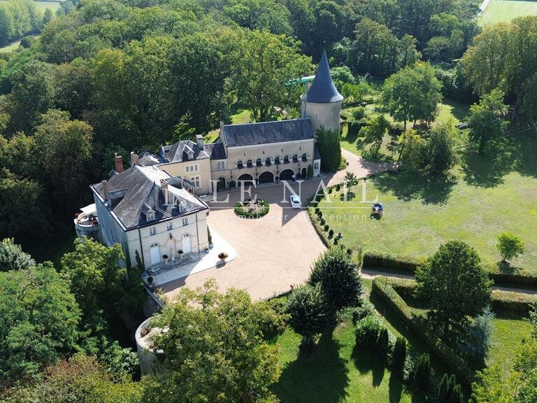 Vente Château Chateau-du-Loir - 11 chambres