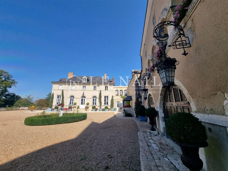 Vente Château Chateau-du-Loir - 11 chambres