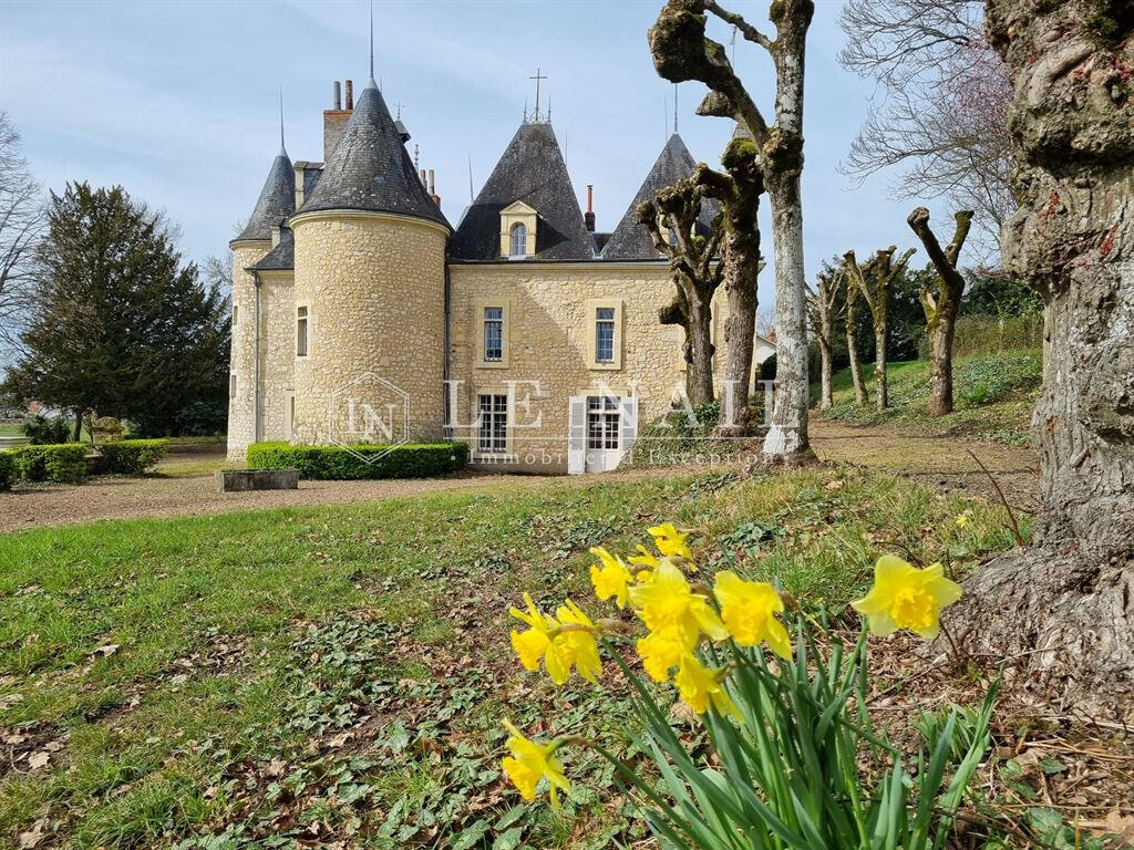 Castle Chateau-du-Loir