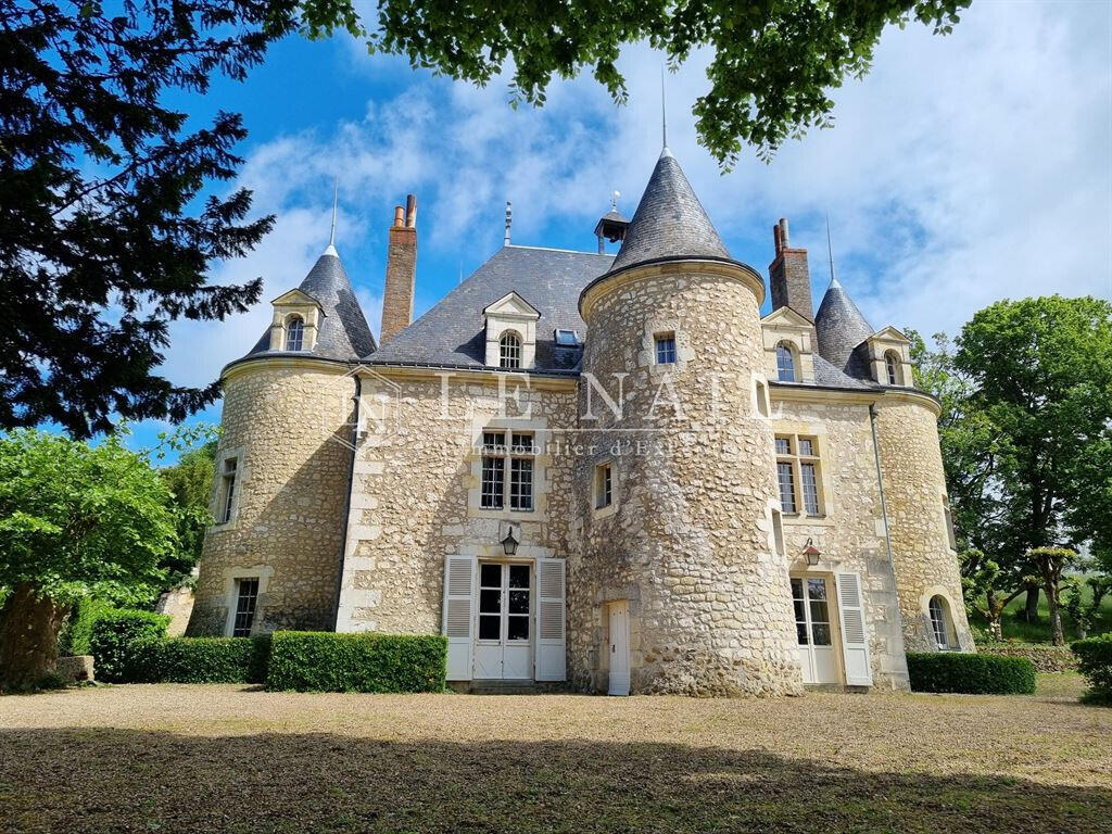 Castle Chateau-du-Loir