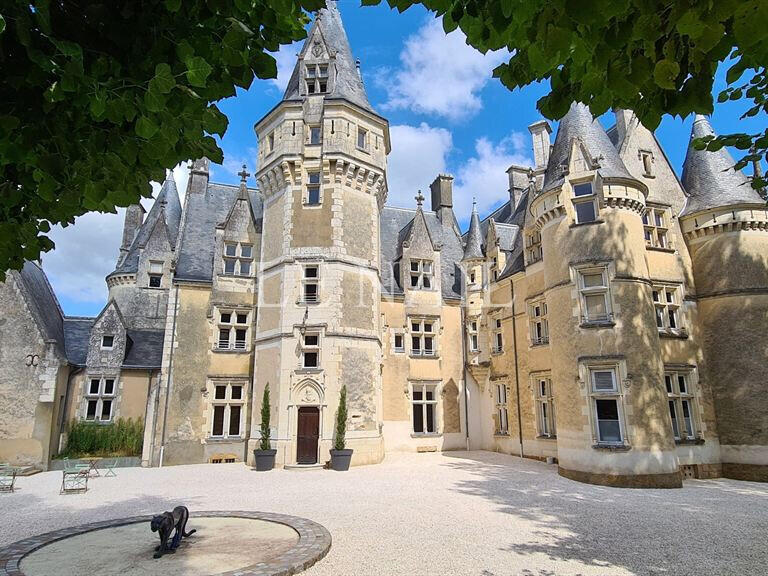 Castle Chateau-du-Loir