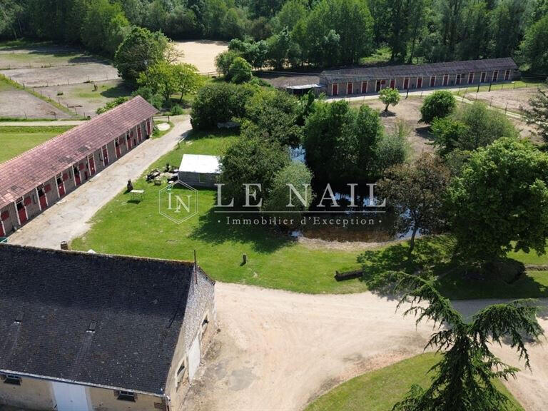 Vente Propriété équestre Chateau-du-Loir - 9 chambres