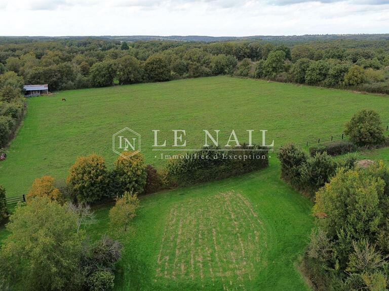 Equestrian property Château-la-Vallière