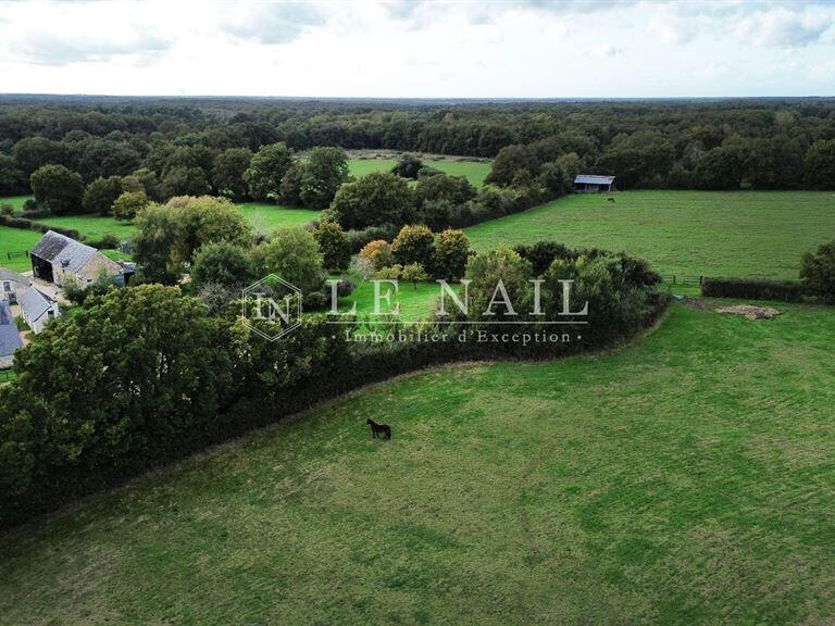 Equestrian property Château-la-Vallière