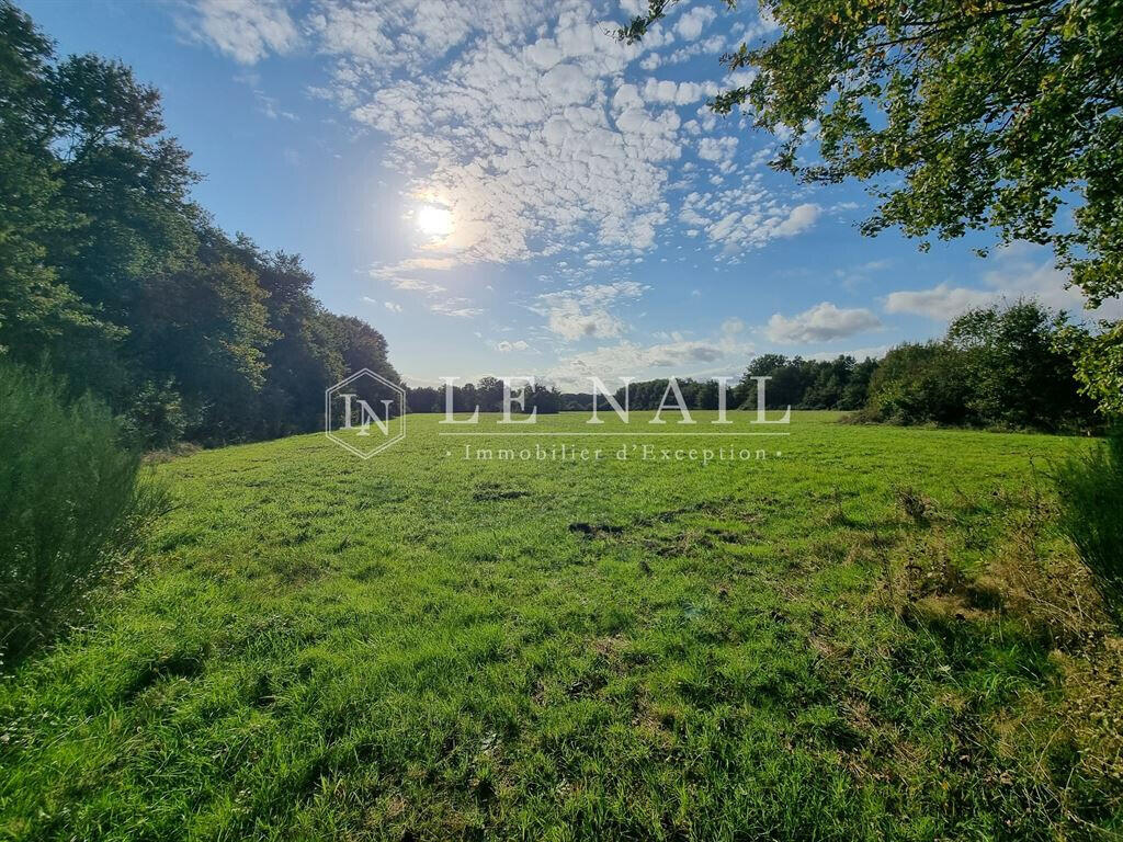 Equestrian property Château-la-Vallière