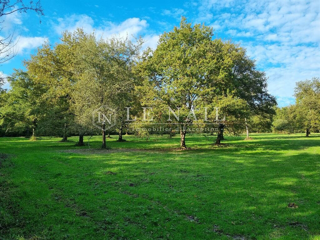 Equestrian property Château-la-Vallière