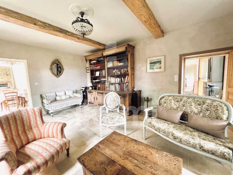 House Châteauneuf-de-Galaure - 8 bedrooms - 320m²