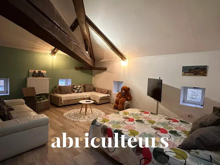 Maison Châteauneuf-de-Galaure - 6 chambres - 408m²