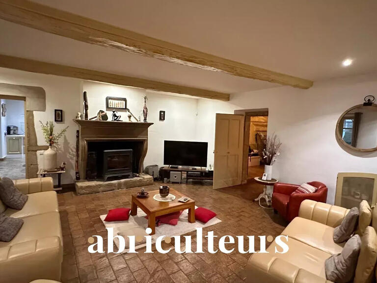 Maison Châteauneuf-de-Galaure - 6 chambres - 408m²