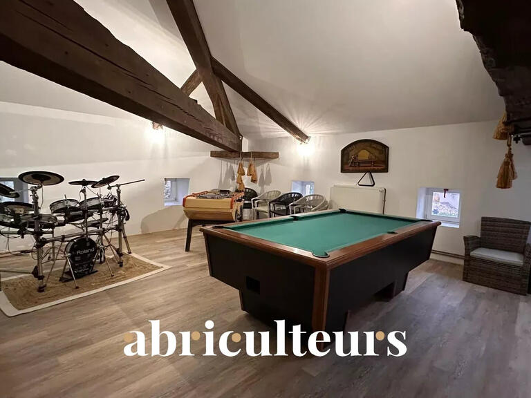 Maison Châteauneuf-de-Galaure - 6 chambres - 408m²