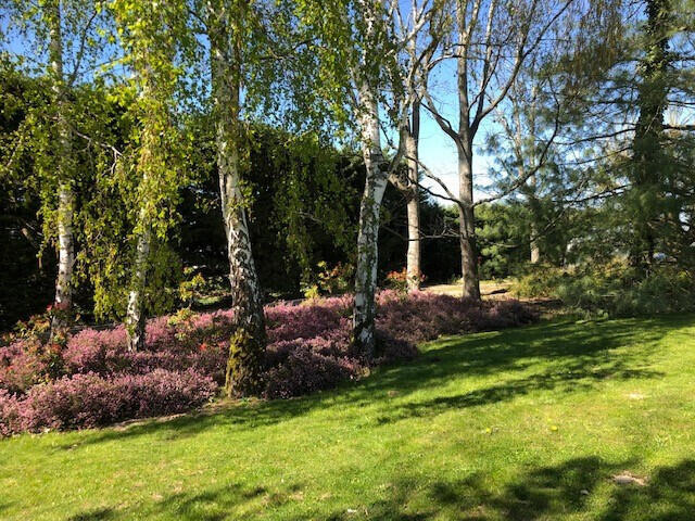 Vente Maison Châteauneuf-sur-Loire - 4 chambres