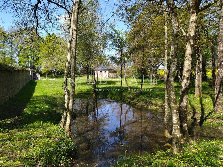 Castle Châteauneuf-sur-Sarthe - 17 bedrooms - 1000m²