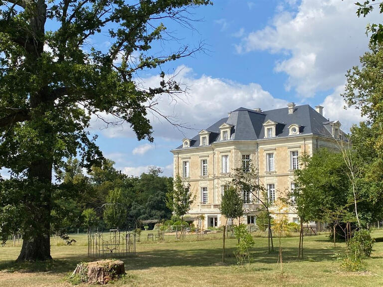 Vente Château Châteauneuf-sur-Sarthe - 17 chambres