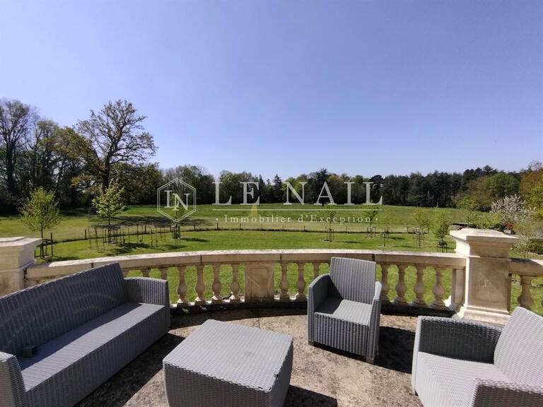 Castle Châteauneuf-sur-Sarthe - 17 bedrooms - 1000m²