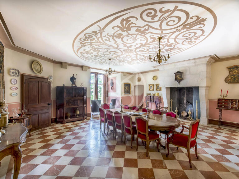 Vente Château Châteauroux - 9 chambres