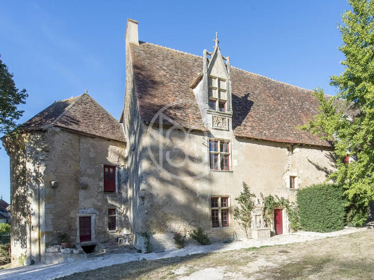 Castle Châteauroux - 9 bedrooms - 1400m²