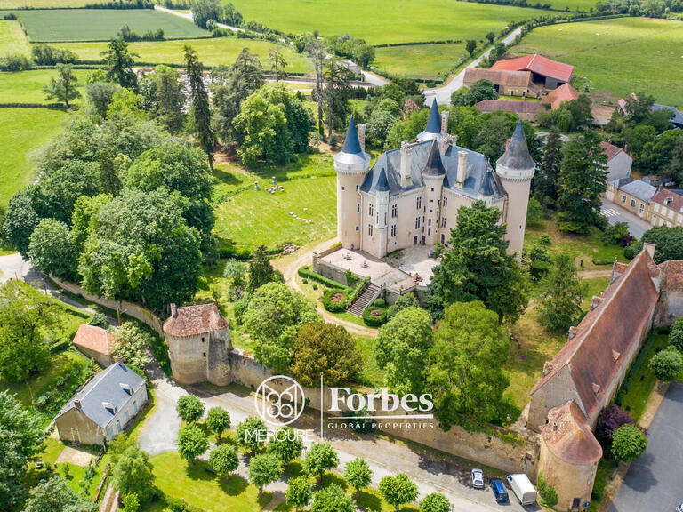 Castle Châteauroux - 9 bedrooms - 1400m²