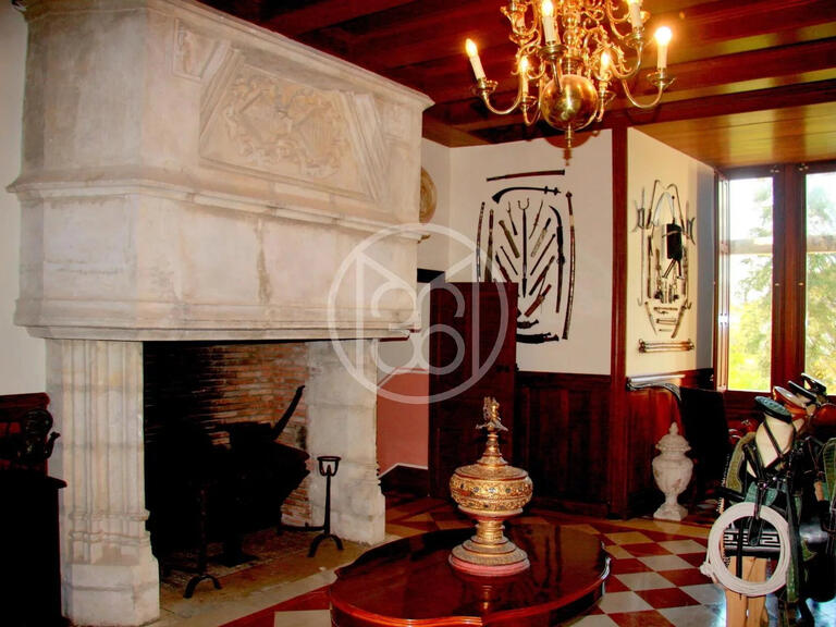 Sale Castle Châteauroux - 9 bedrooms