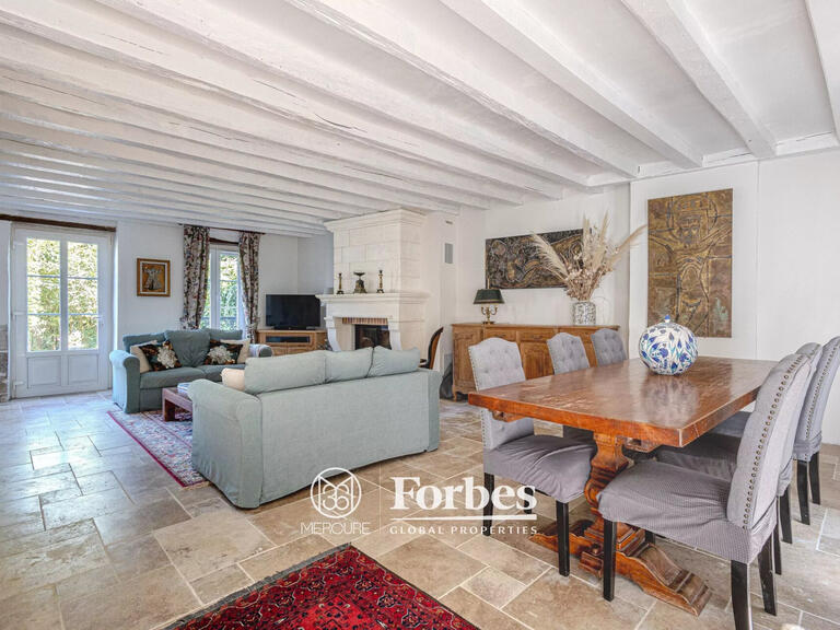 Propriété Châtillon-sur-Loire - 6 chambres - 330m²