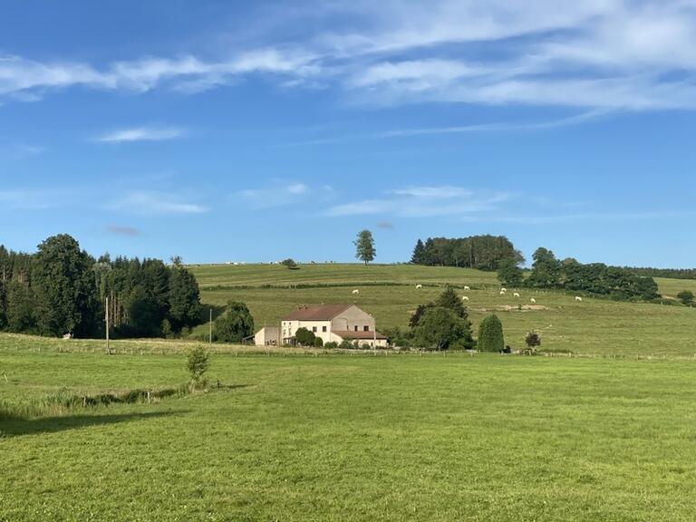 Capavenir Vosges : Hôtel Particulier à Vendre - BellesPierres