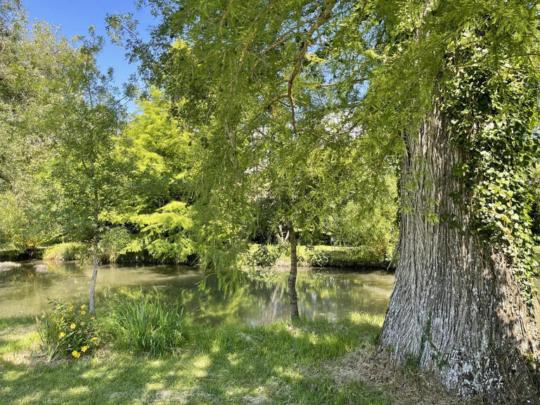 Castle Chinon - 8 bedrooms - 450m²