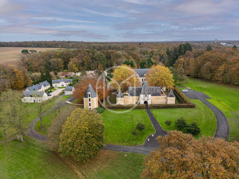 Castle Chissay-en-Touraine - 25 bedrooms - 1500m²