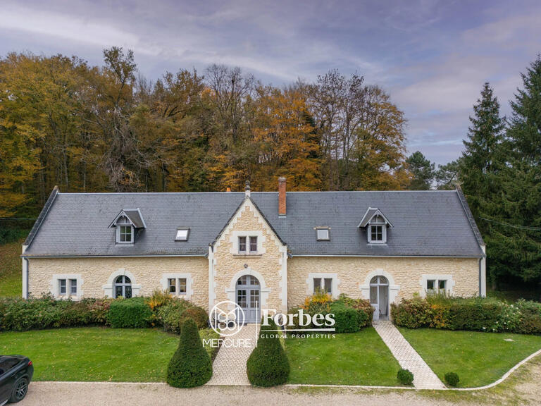 Castle Chissay-en-Touraine - 25 bedrooms - 1500m²