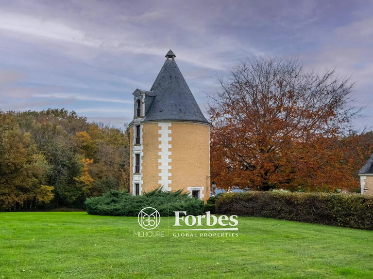 Château Chissay-en-Touraine - 25 chambres - 1500m²