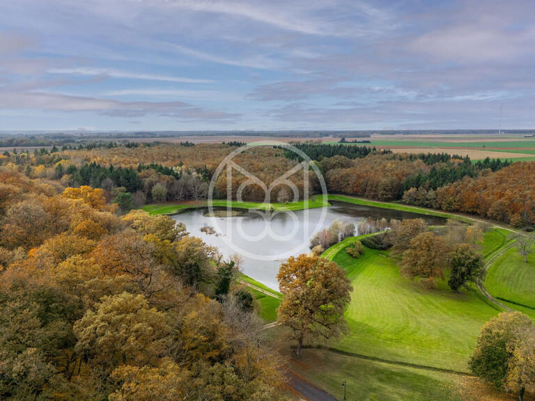 Castle Chissay-en-Touraine - 25 bedrooms - 1500m²