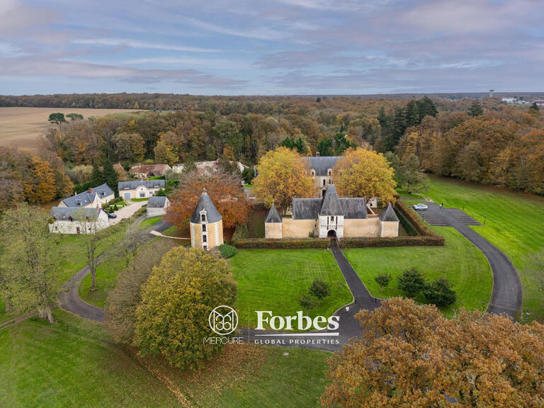 Château Chissay-en-Touraine - 25 chambres - 1500m²