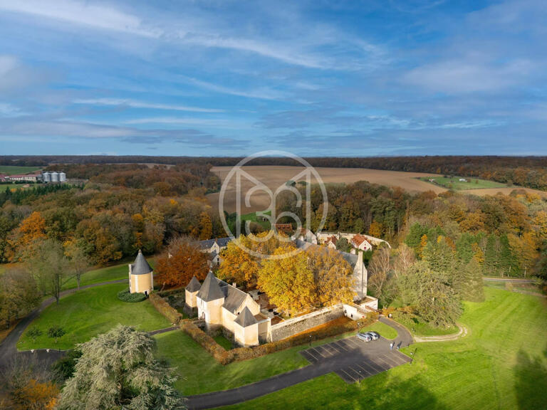 Castle Chissay-en-Touraine - 25 bedrooms - 1500m²