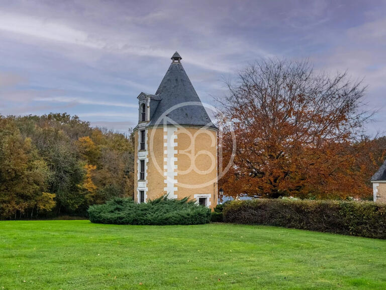 Castle Chissay-en-Touraine - 25 bedrooms - 1500m²