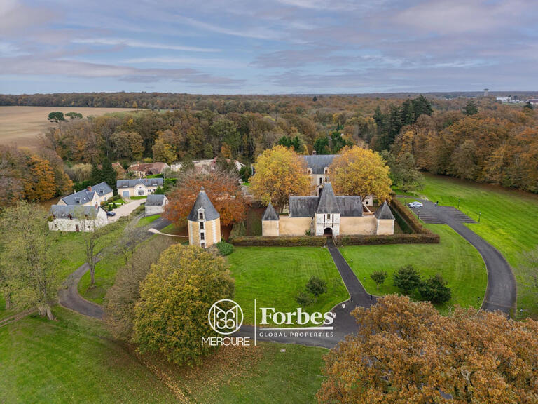 Château Chissay-en-Touraine - 25 chambres - 1500m²