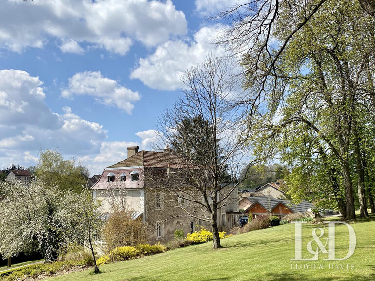 Maison Cirey-sur-Vezouze - 5 chambres - 340m²