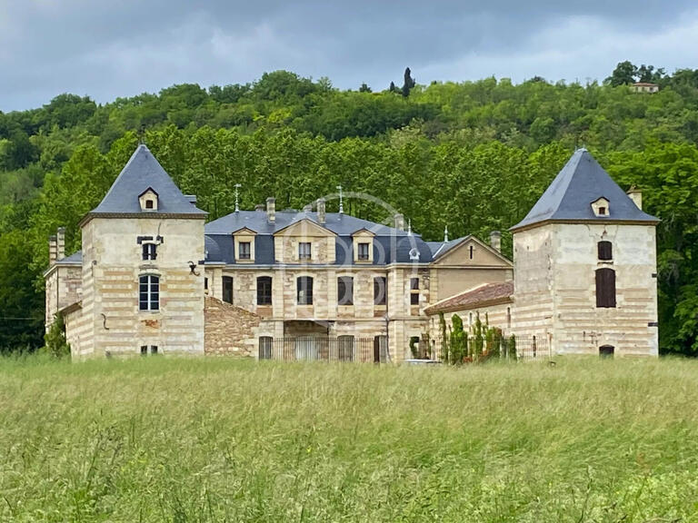 Château Clairac - 11 chambres - 1416m²