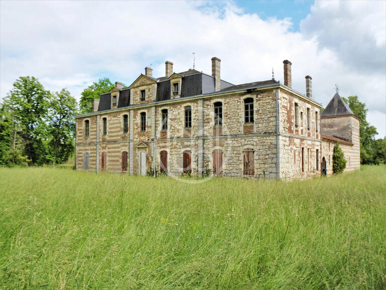 Sale Castle Clairac - 11 bedrooms