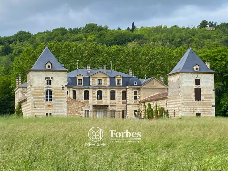 Castle Clairac - 11 bedrooms - 1416m²