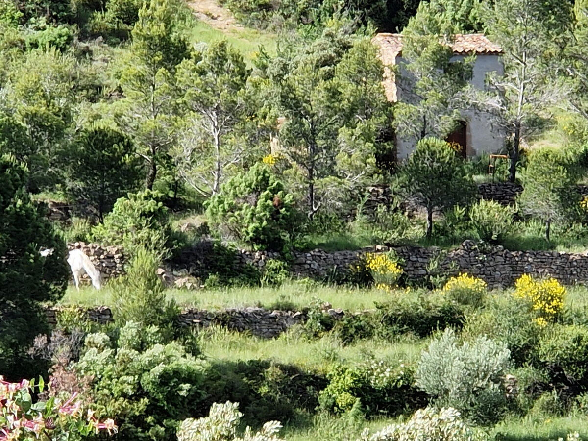 House Clermont-l'Hérault