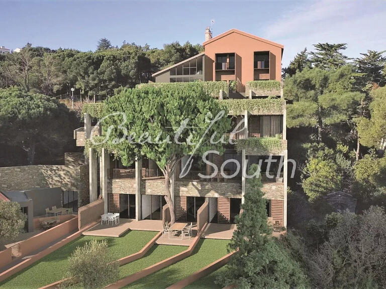 Vente Appartement avec Vue mer Collioure - 2 chambres