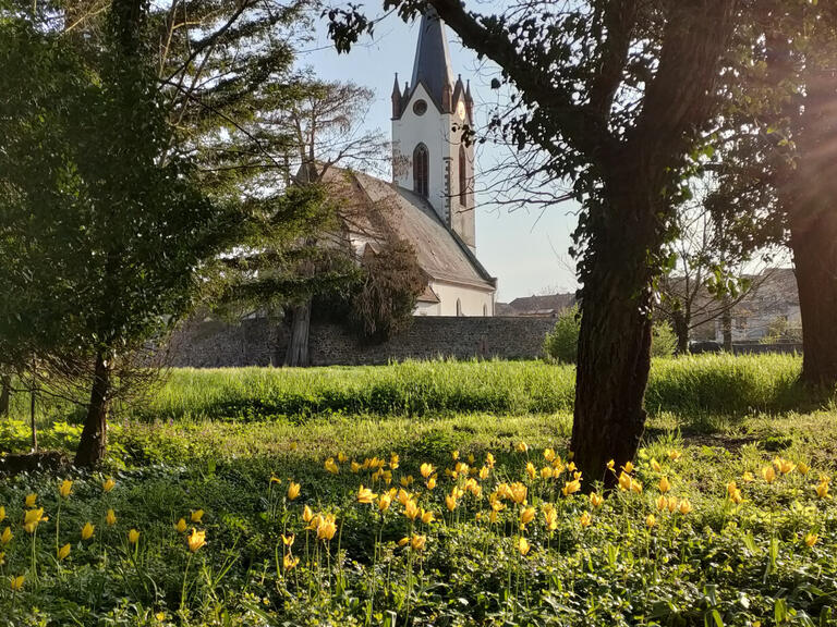 Château Colmar - 800m²