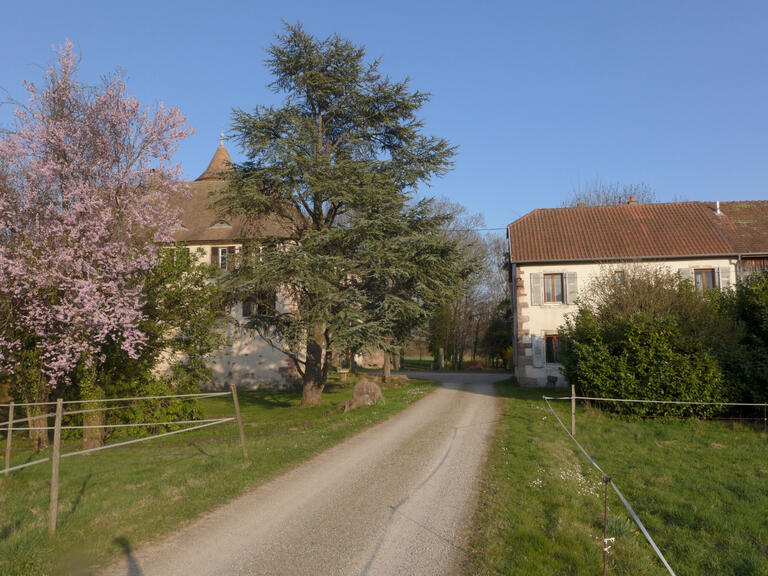 Château Colmar - 800m²