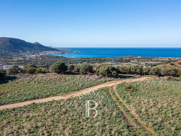 Terrain Corbara - 4000m²