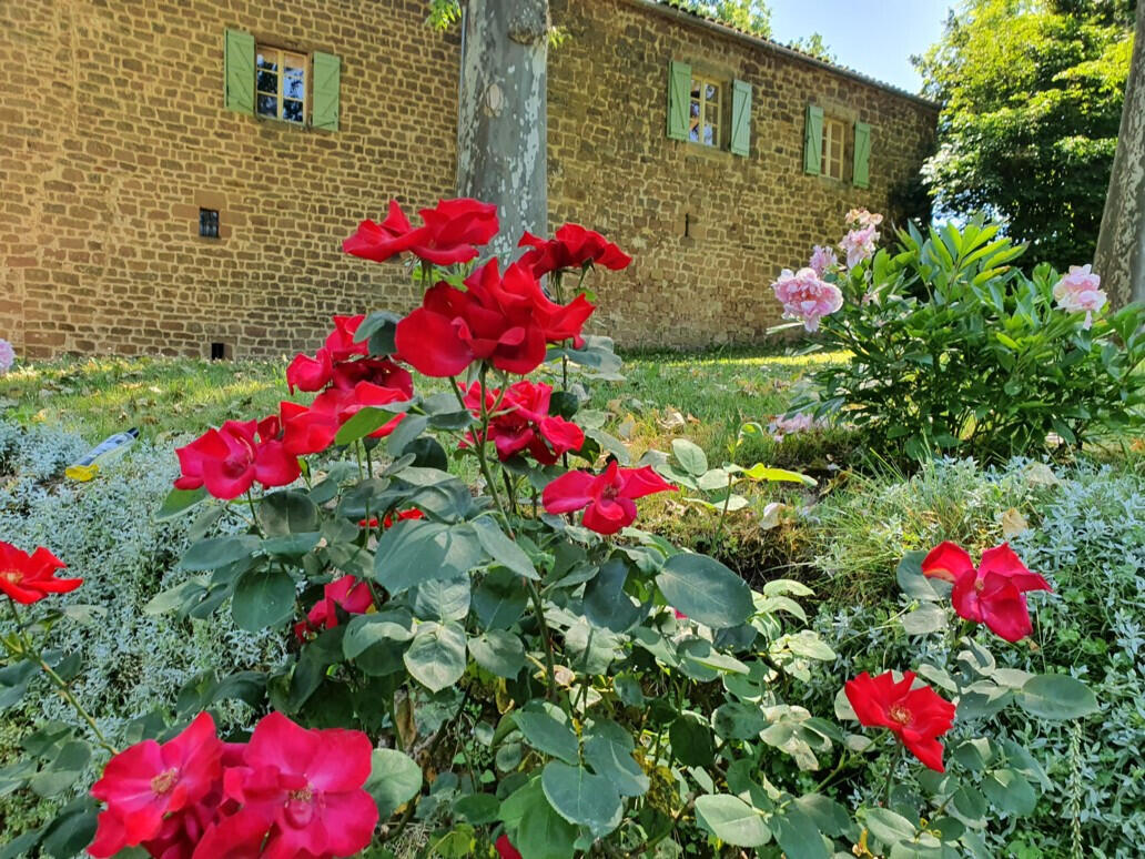 Castle Cordes-sur-Ciel