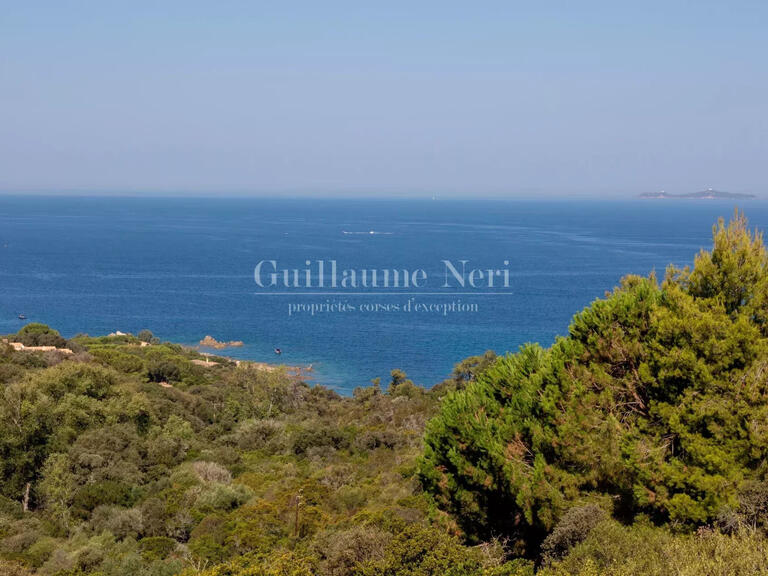 Villa Coti-Chiavari - 4 bedrooms - 400m²